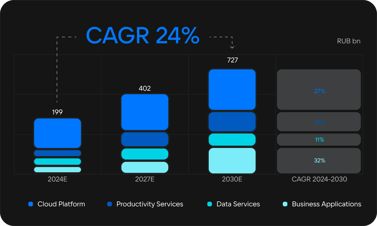 The Target Market of the Corporate Software in Russia